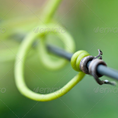 卡密平台推荐的网页攻击器教程