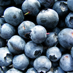 免费DDOS攻击测试工具