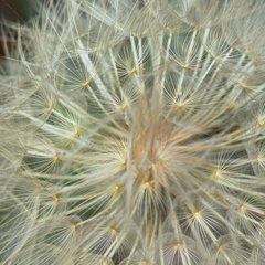 安全无风险的DDOS测试